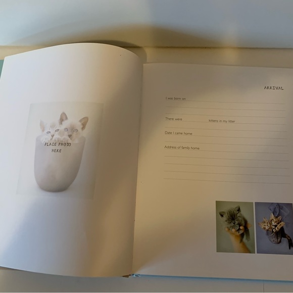 My cat record book hardcover keepsake journal by photographer Rachel hale - Picture 8 of 11